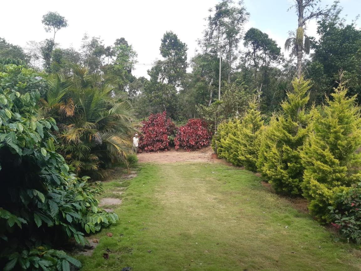 Athena Homestay Somvārpet Exterior photo