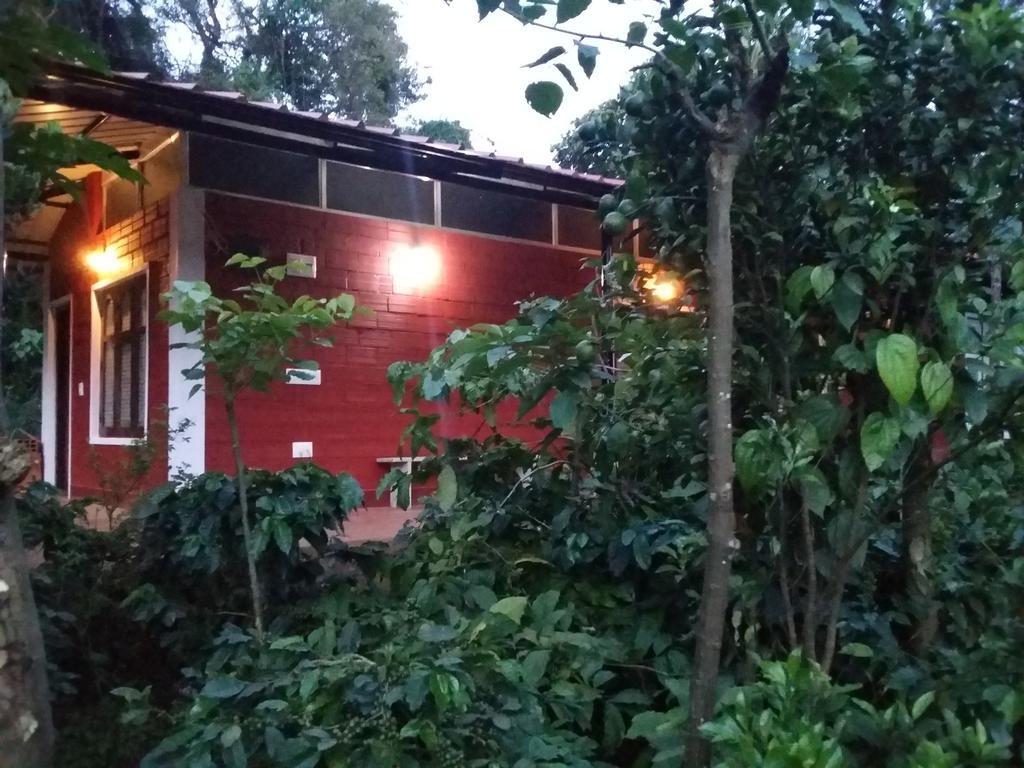 Athena Homestay Somvārpet Exterior photo