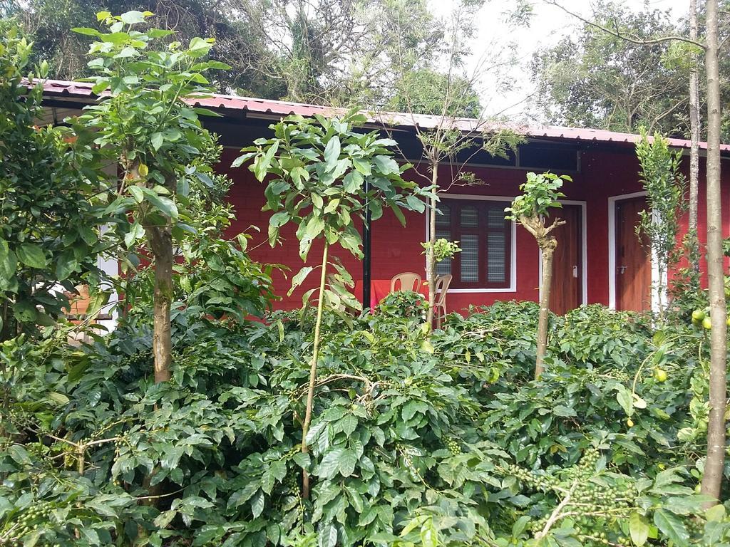 Athena Homestay Somvārpet Exterior photo